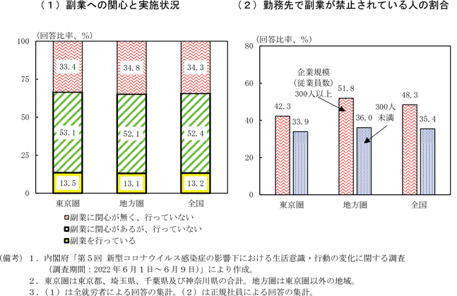 第1-1-17図　圏域別の副業の状況
