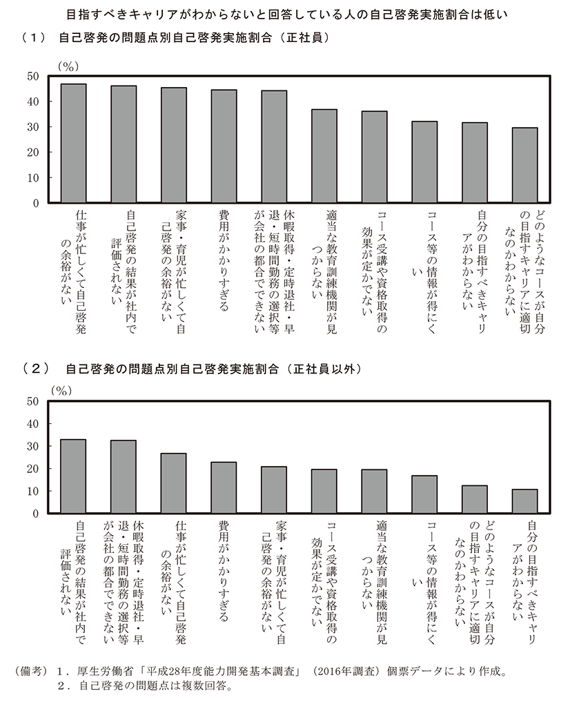 第2－3－6図　自己啓発の課題（2016年） のグラフ